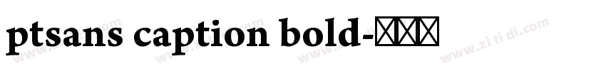ptsans caption bold字体转换